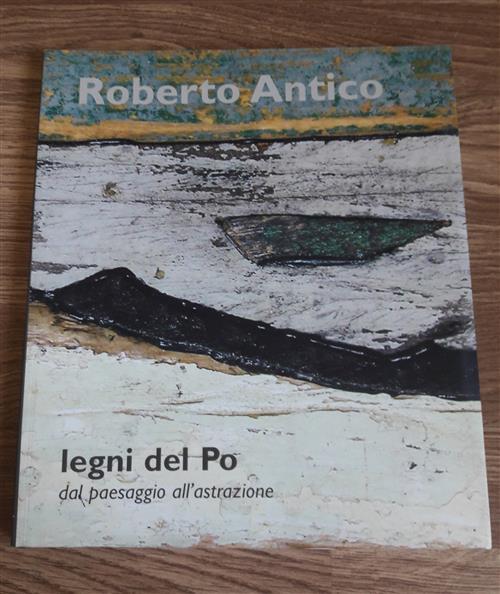 Legni Del Po Sal Paesaggio All'astrazione - copertina