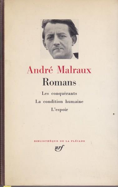 Libreria del Professore