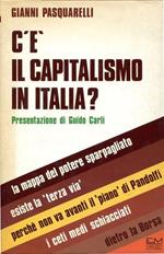C'è il capitalismo in Italia?