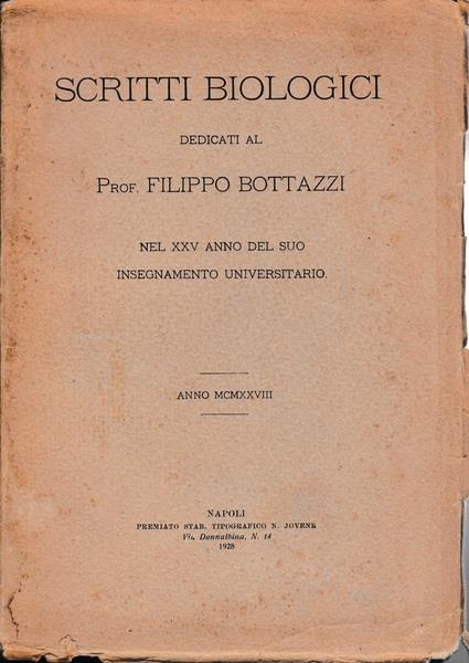 Librisaggi