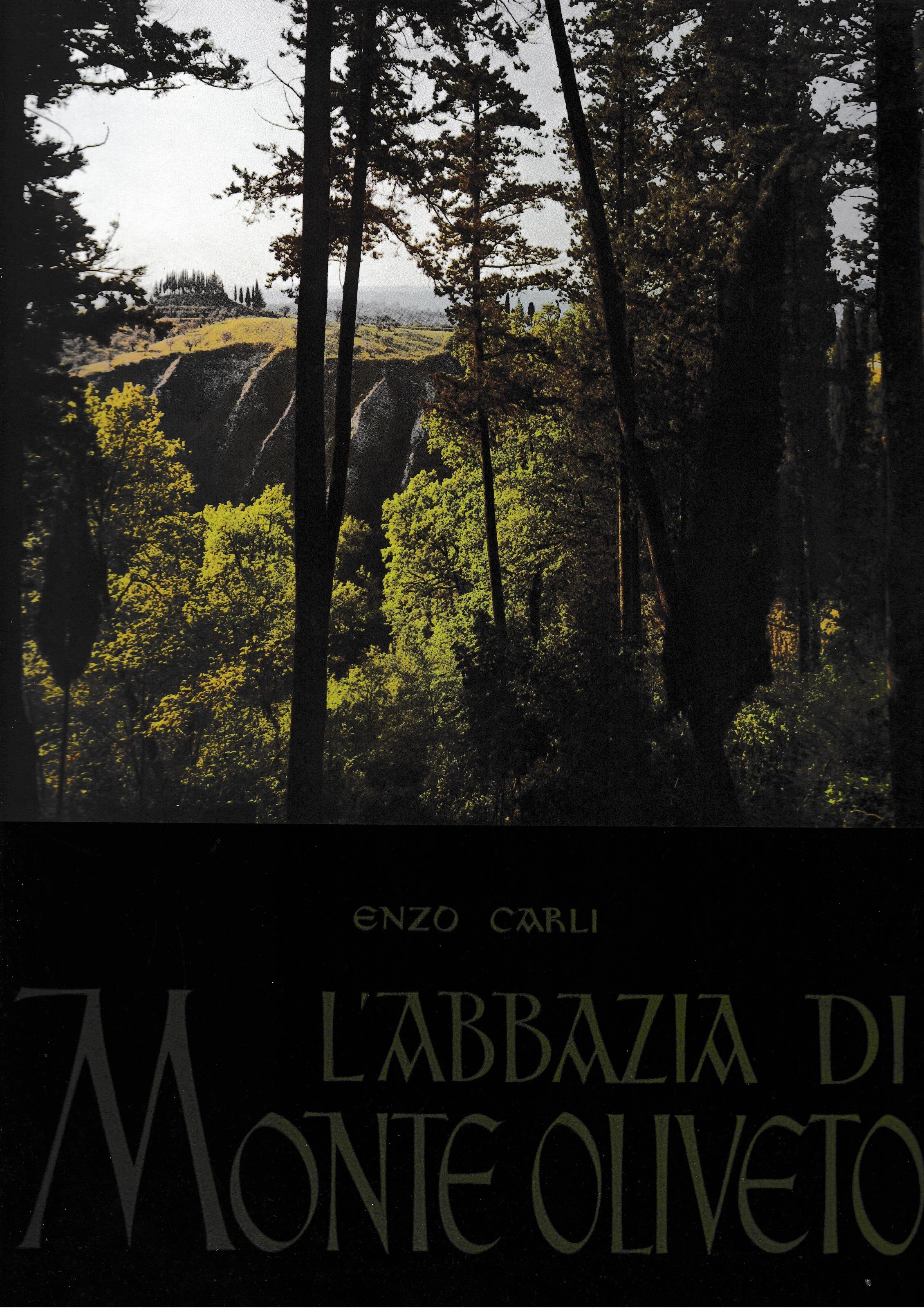 Librisaggi
