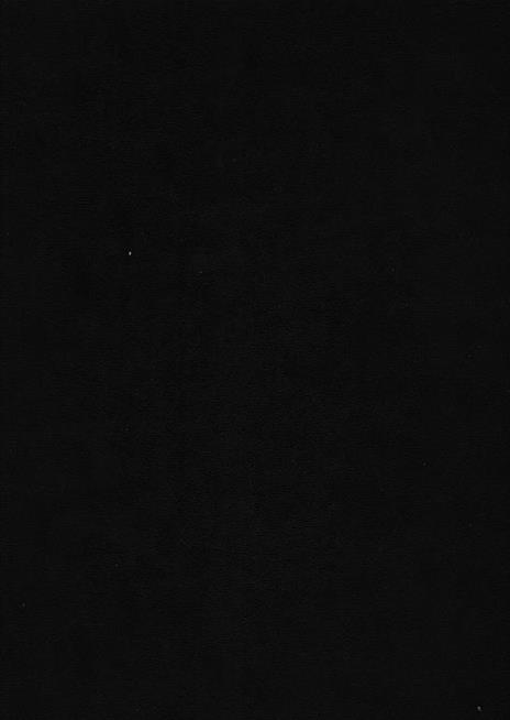 Ville delle province di Cremona e Mantova - Carlo Perogalli - 2