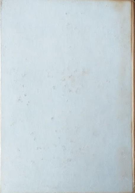 Don Chisciotte della Mancia - Miguel de Cervantes - 2