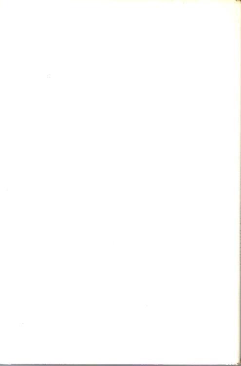 Levigati nel cuore - Giacomo Ferri - 2