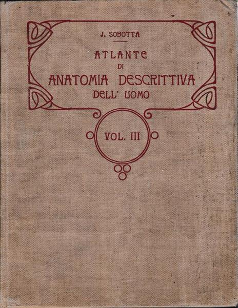 Atlante di Anatomia Descrittiva del'Uomo 3° vol - Johannes Sobotta - copertina