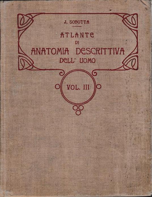 Atlante di Anatomia Descrittiva del'Uomo 3° vol - Johannes Sobotta - copertina