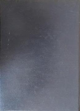 Manuale di pronto soccorso oculistico - Bruno Lumbroso - 2