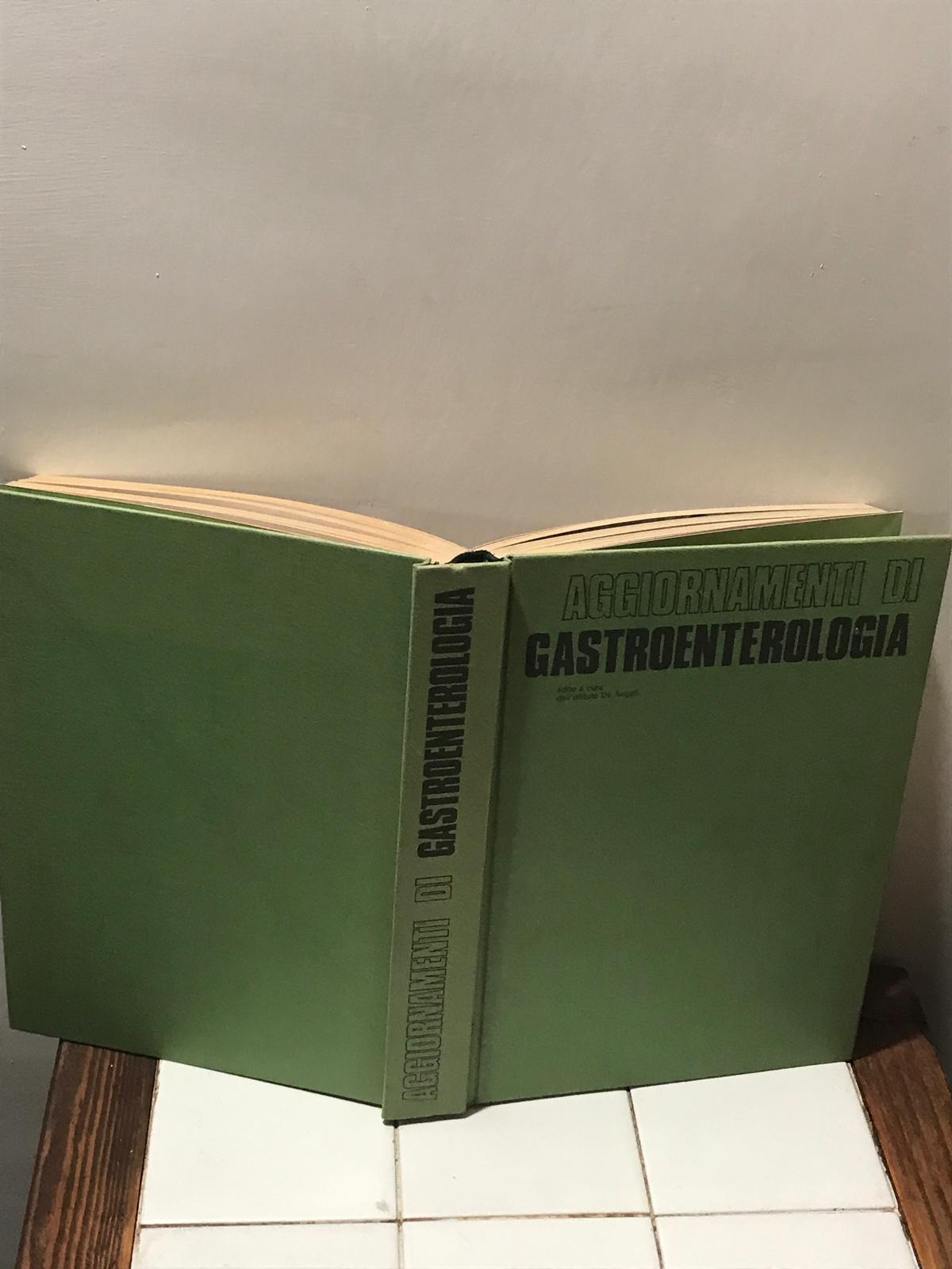 Librisaggi
