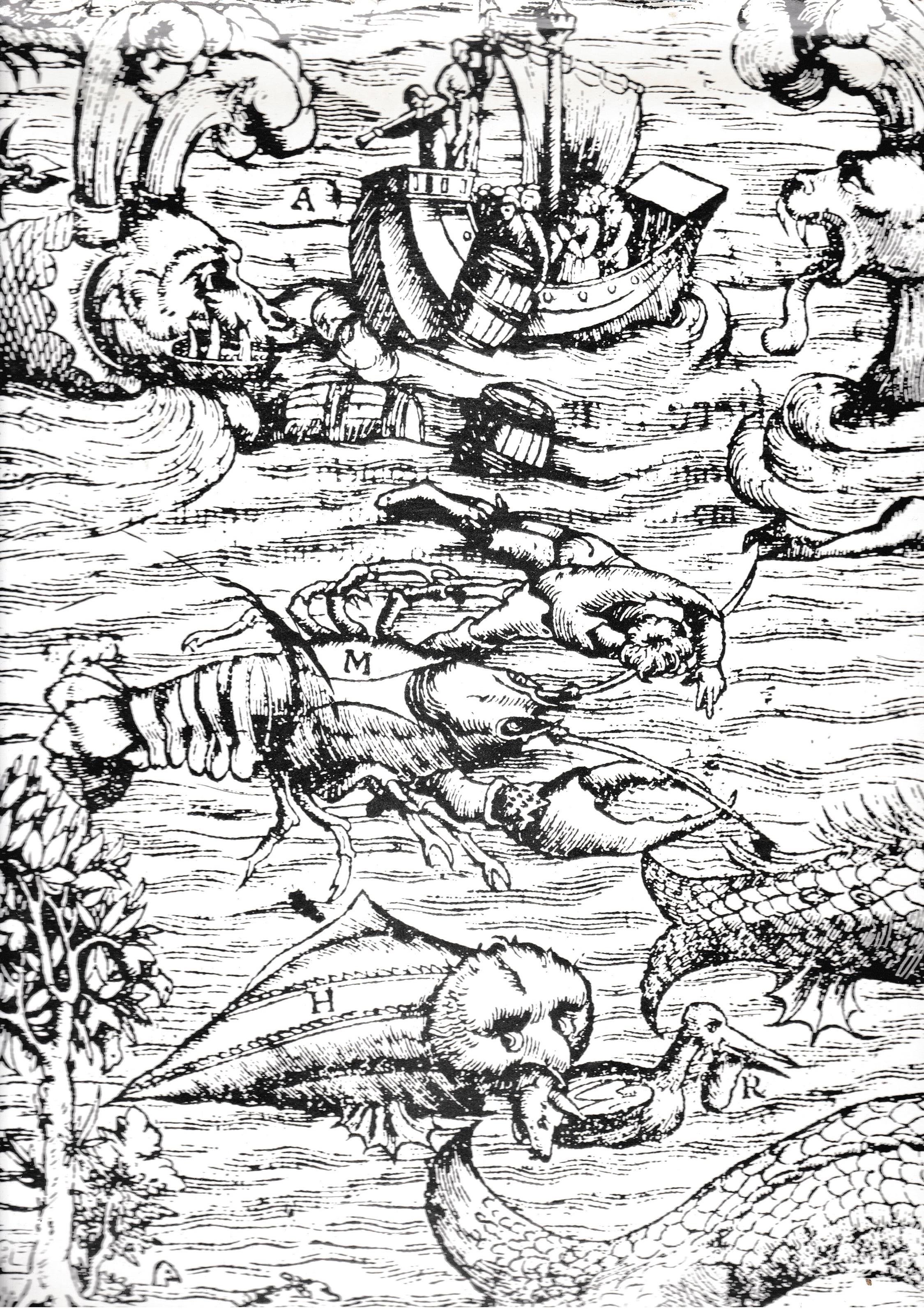 Librisaggi