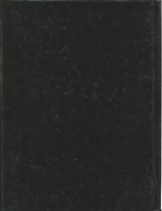 La galleria Sabauda - Rosalba Tardito Amerio - 2