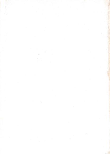 Il Cuneese: un territorio di nuova industrializazione - Adalberto Vallega - 2