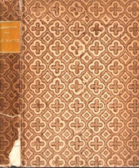 Hot water - Pelham G. Wodehouse - copertina