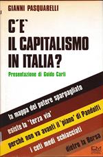 C'è capitalismo in Italia?