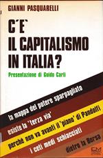 C'è capitalismo in Italia?