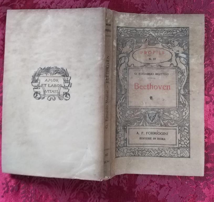 Libreria del Professore