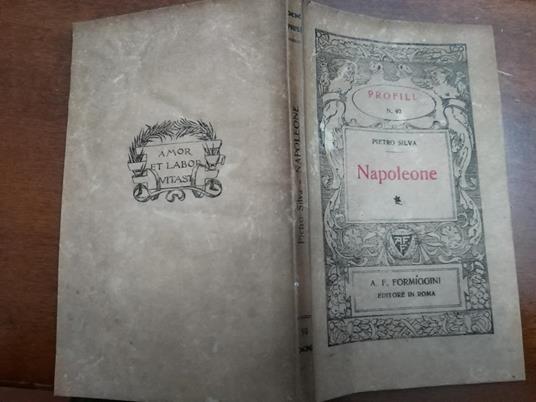 Napoleone - Pietro Silva - copertina