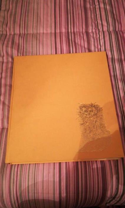 Il gatto vita storia magia - Fernand Méry - copertina