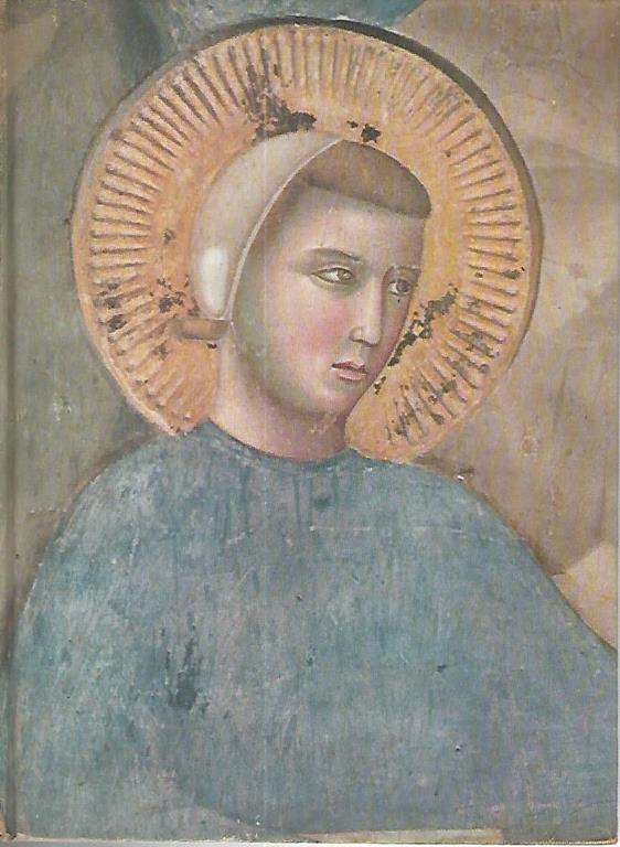 Librisaggi
