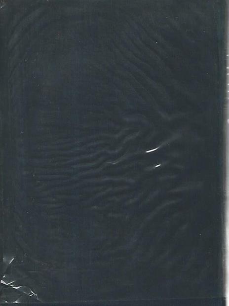 La sacra Bibbia. Antico testamento. Volume II - Angelo Penna - 2