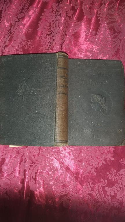 Le malattie del lavoro - Daniele Giglioli - copertina