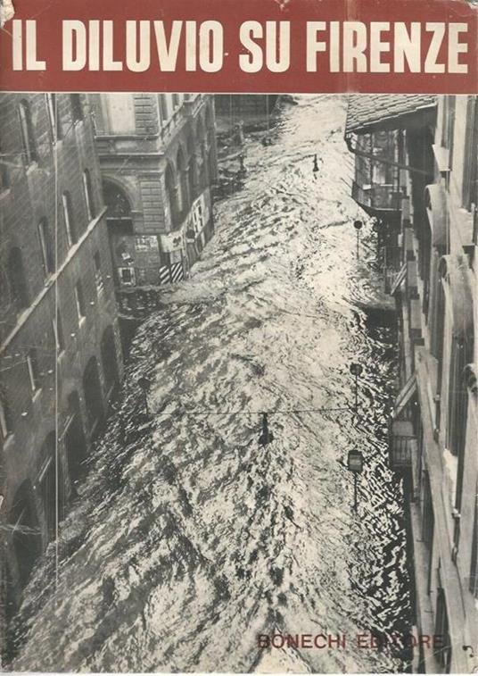 Il diluvio su Firenze - Eugenio Pucci - copertina