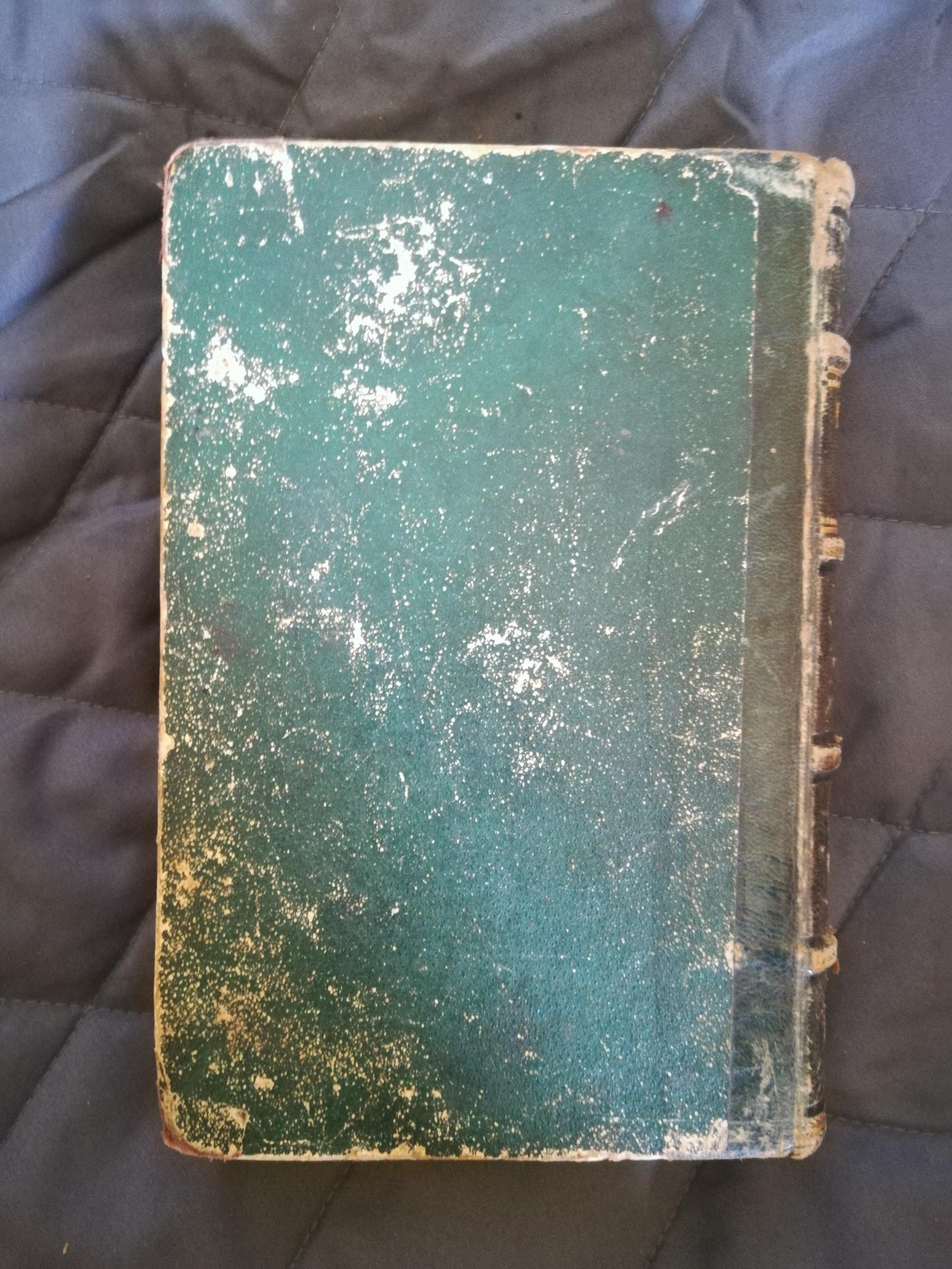 I quattro poeti italiani. Dante. Petrarca. Ariosto. Tasso