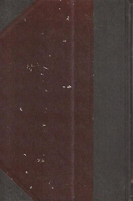 Saint Francois d'Assise - Johannes Joergensen - 2