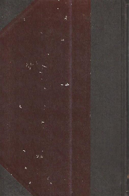 Saint Francois d'Assise - Johannes Joergensen - 2
