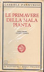 Le primavere della mala pianta. Terra vergine Giovanni Episcopo