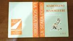 Marcolino e i mammiferi.Vol.n.11