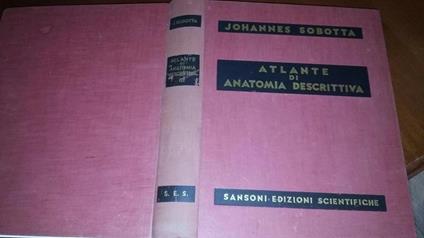 Atlante di anatomia descrittiva vol.III - Johannes Sobotta - copertina