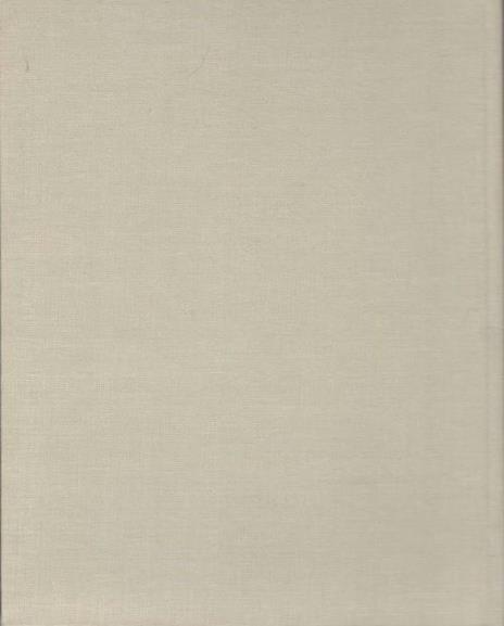 Nolten il pittore.Collana:I grandi scrittori stranieri XII-297 - Eduard Mörike - 2