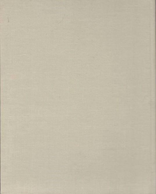 Nolten il pittore.Collana:I grandi scrittori stranieri XII-297 - Eduard Mörike - 2