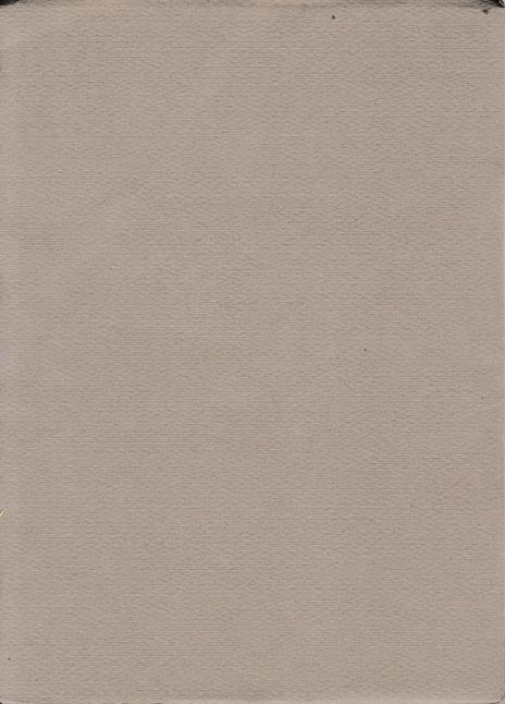 Le fontane di Roma - Luigi Callari - 2