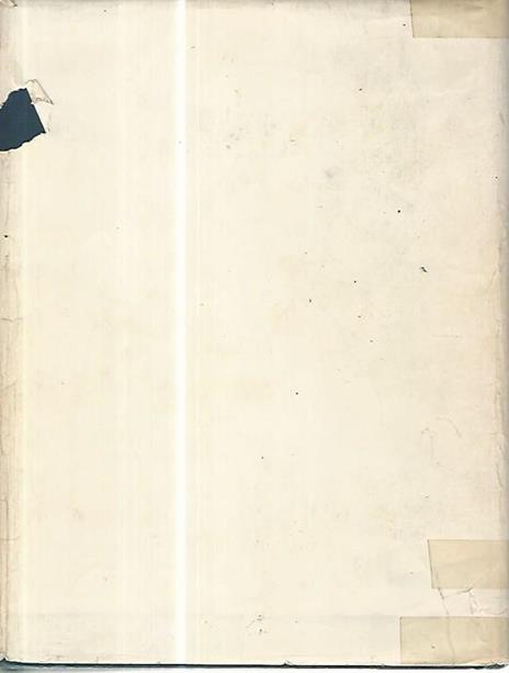 Malattie degli arti - Ettore Ruggieri - 2