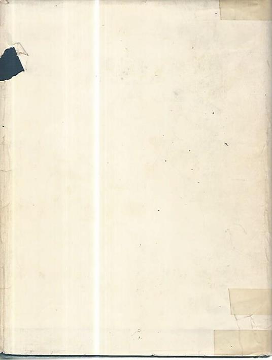 Malattie degli arti - Ettore Ruggieri - 2