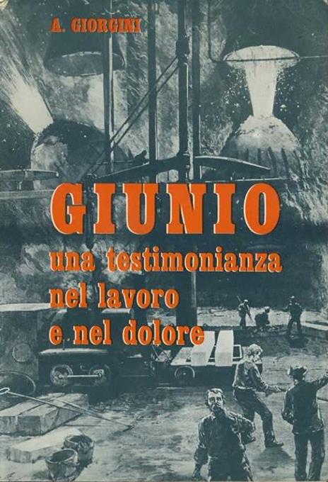 Giunio. Una testimonianza nel lavoro e nel dolore - Angelo Giorgini - copertina