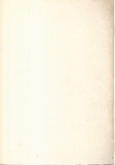 Un anno di attività - Rocco Zoccali - 2