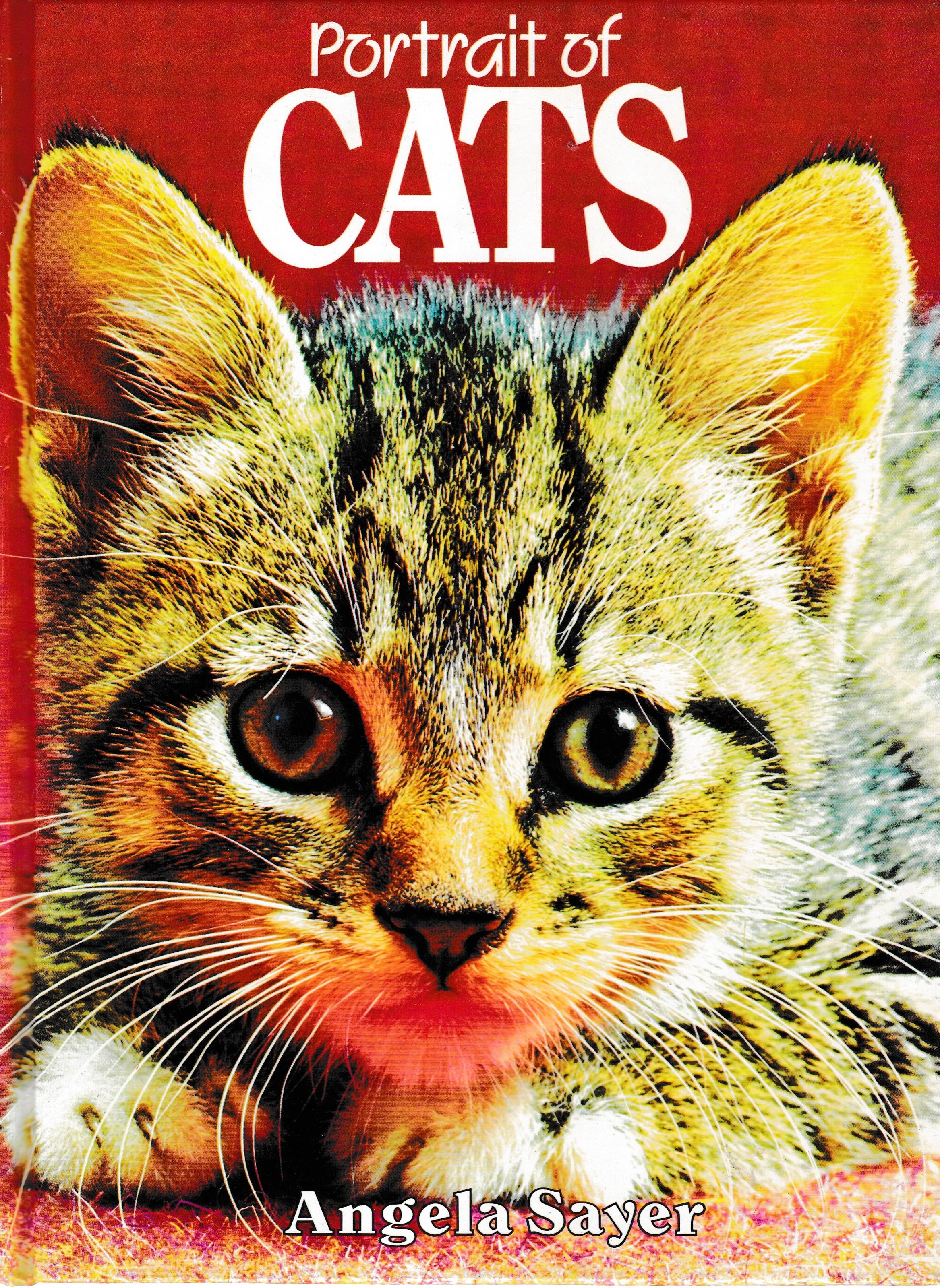 Portrait of Cats