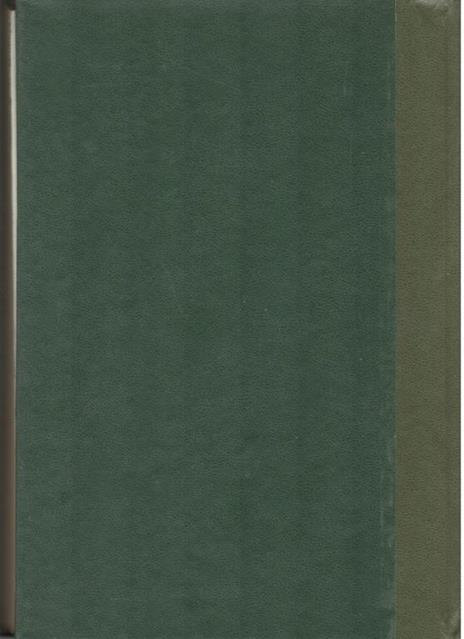 Le Grandi Biografie : Napoleone - Lorenzo Vincenti - 2