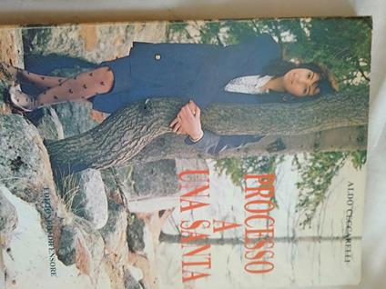 Processo a una santa - Aldo Ceccarelli - copertina