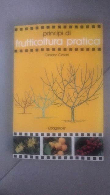 Principi di frutticoltura pratica - Cesare Cesari - copertina