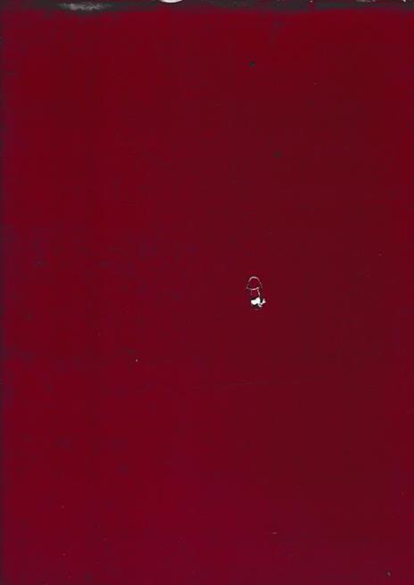 Città d'armi, di commercio, di nobili dimore - Daniel Zimmermann - 2