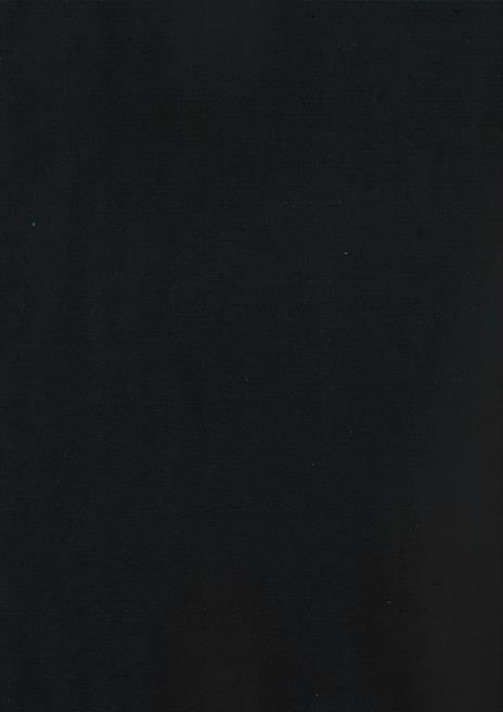 Le infezioni nell'anziano - Salvo Esposito - 2