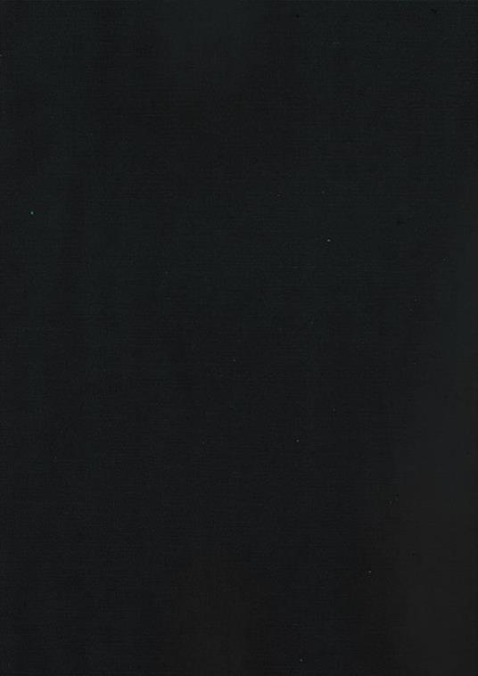 Le infezioni nell'anziano - Salvo Esposito - 2