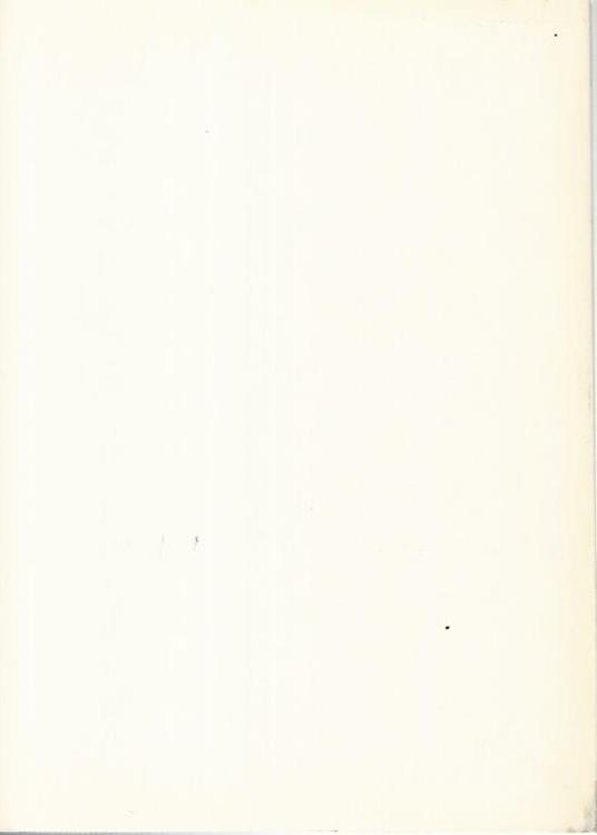 Istituzioni militari e costituzione - Umberto Cappuzzo - 2