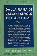 Dalla Rana Di Galvani Al Volo Muscolare