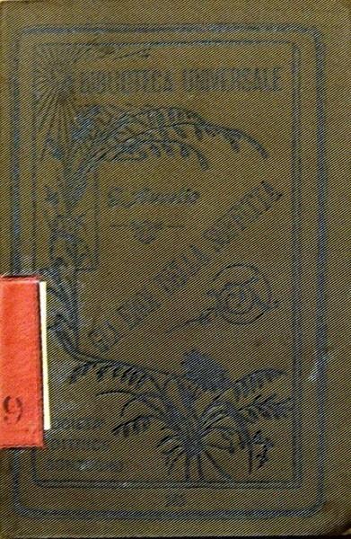 Stampe Antiche e Libri d'Arte Bottigella