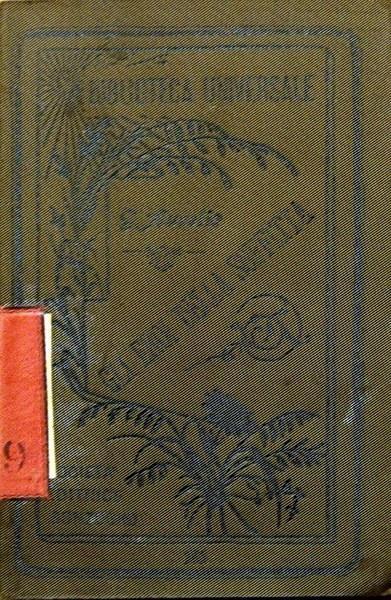 Gli Eroi Della Soffitta E Poesie Varie - Giuseppe Aurelio Costanzo - copertina