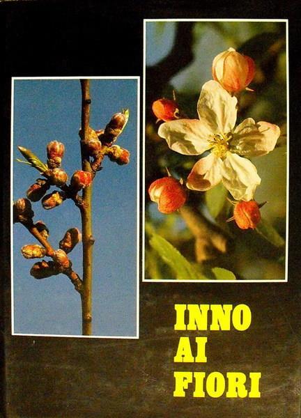 Inno Ai Fiori - Aldo Aluffi - copertina